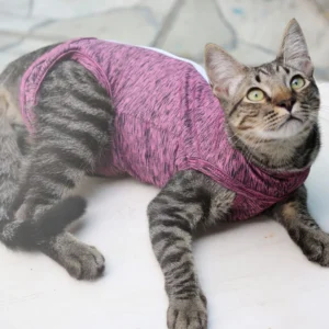 roupa_pos_cirurgica_para_gato_gaby_pet_suplex_4_1_8bfc2782bf5ede1de370a3623aeb156c