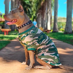 roupinha_pet_uv_50_camuflada_verde_41_5_f778d7d188c7d877d69f29eac83d9c23
